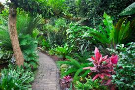 Jardin botanique de Verone, Italie.